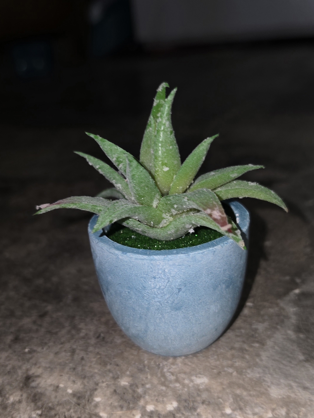 Green Faux Aloe Succulent in Blue Decorative Pot - Home Accents BNIB